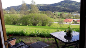 Appartement-Harlachberg-Blick-2